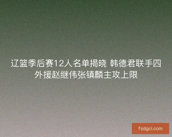 辽篮季后赛12人名单揭晓 韩德君联手四外援赵继伟张镇麟主攻上限