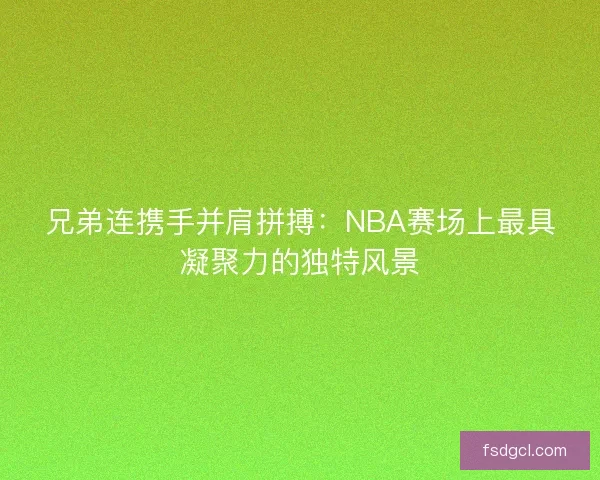 兄弟连携手并肩拼搏：NBA赛场上最具凝聚力的独特风景