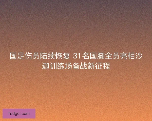 国足伤员陆续恢复 31名国脚全员亮相沙迦训练场备战新征程